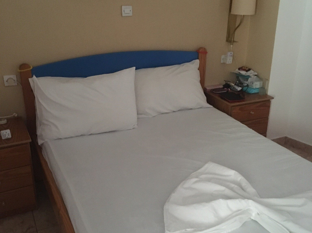 Ovia酒店住宿-Anthoulis Studios