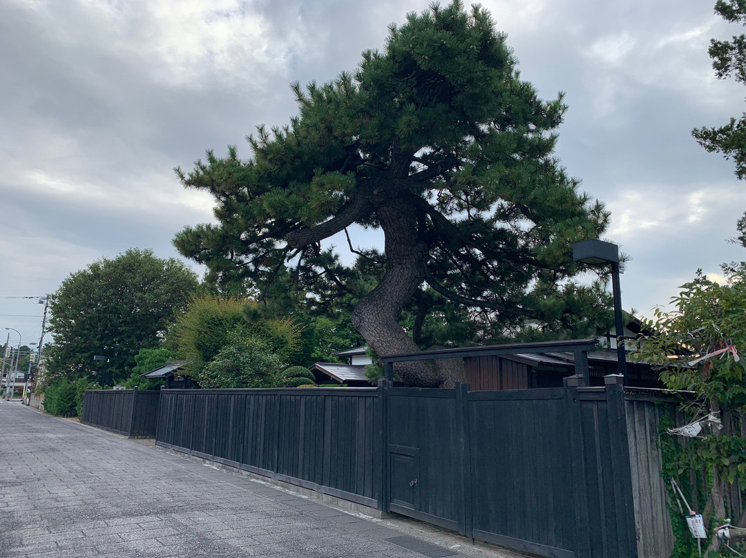 Nakachō Traditional Samurai House Preservation Area-弘前市必去景点