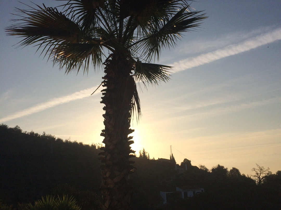 Finca la Vida Tranquila主图