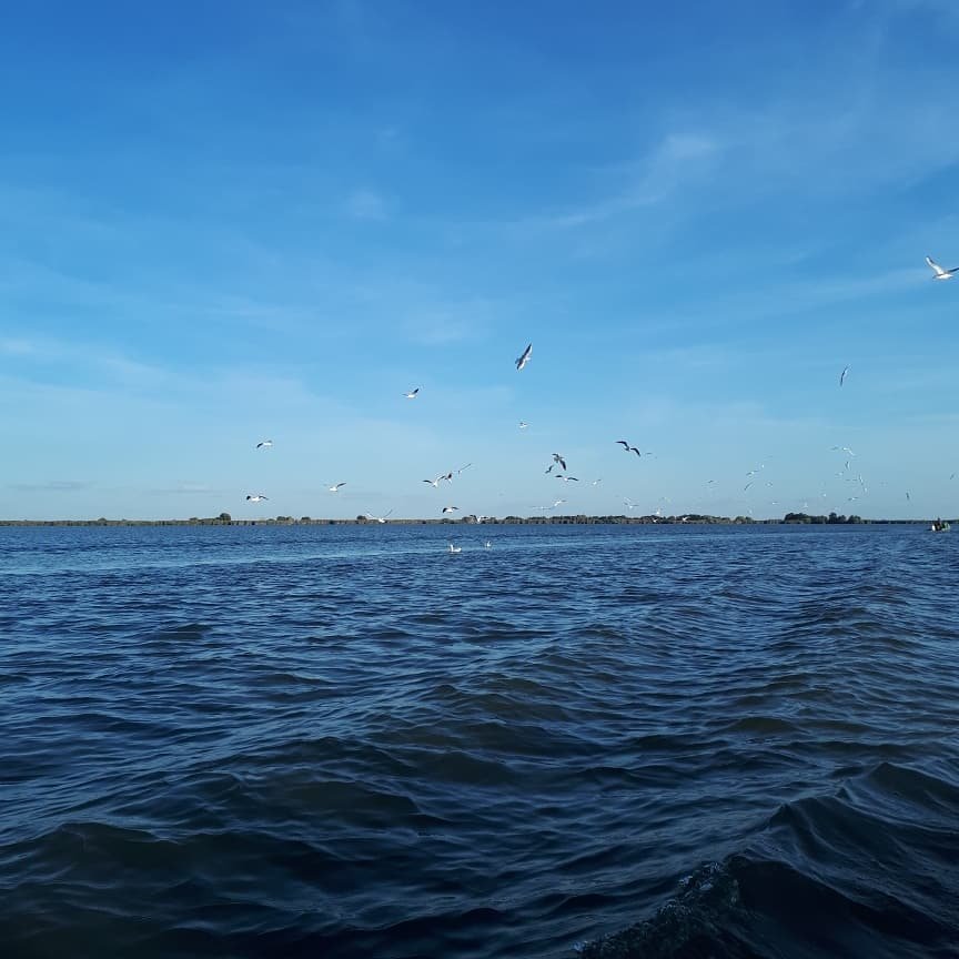 Vila Delta Travel - Mila 23-官方