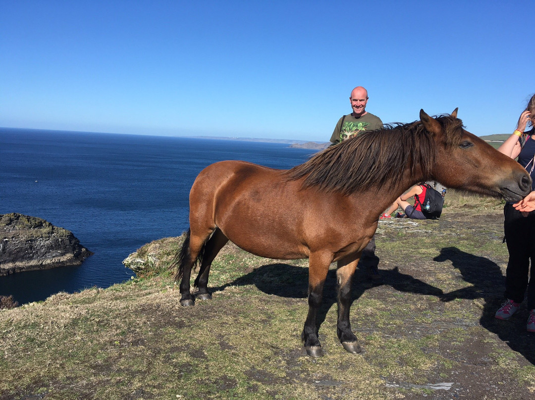 The Old Coach House主图