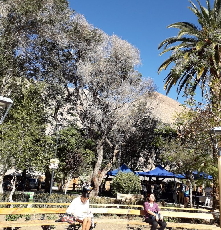 Plaza Pisco Elqui-Pisco Elqui必去景点