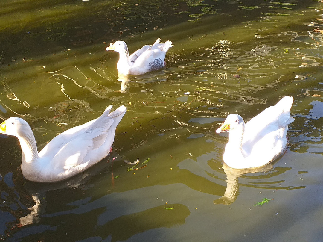 Pousada Tucano do Cuiabá主图