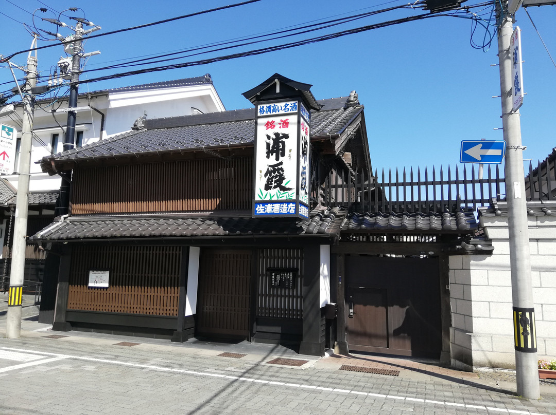 Urakasumijyozomotosaura-盐灶市必去景点