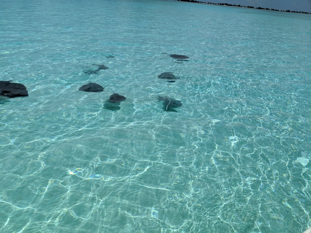 Crystal Sea Charters-East End必去景点