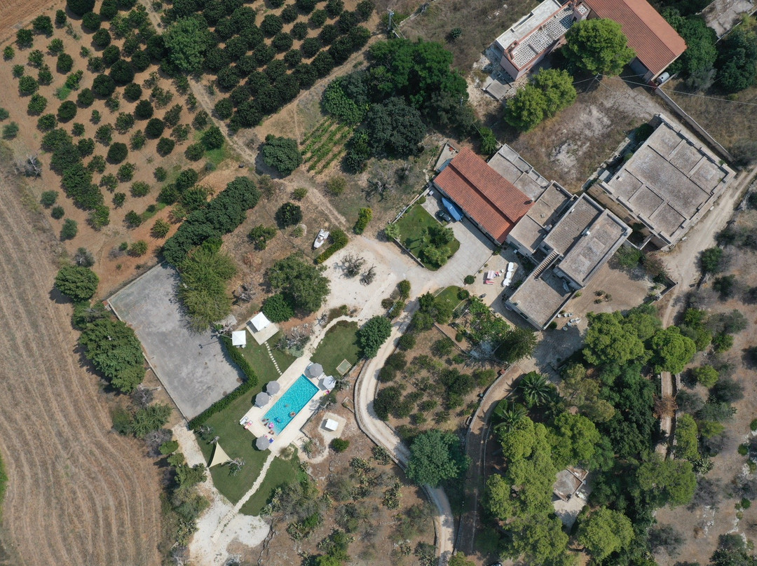 Tenuta Don Salvatore主图