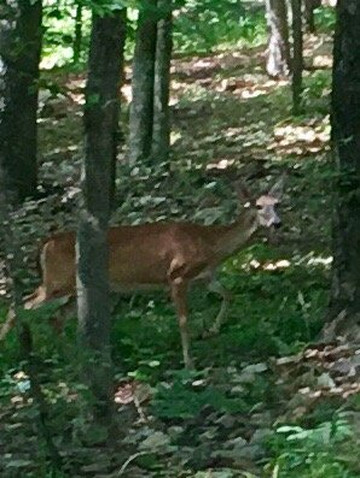 Shady Lake-Umpire必去景点