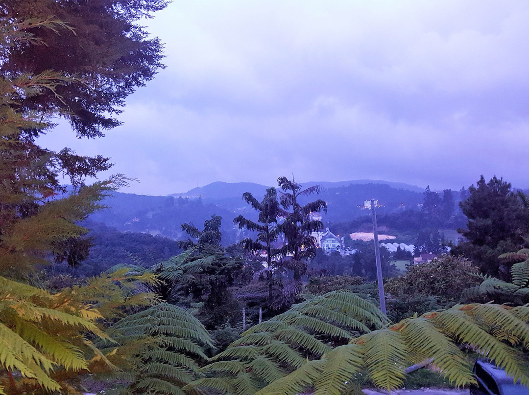 草莓园度假酒店主图