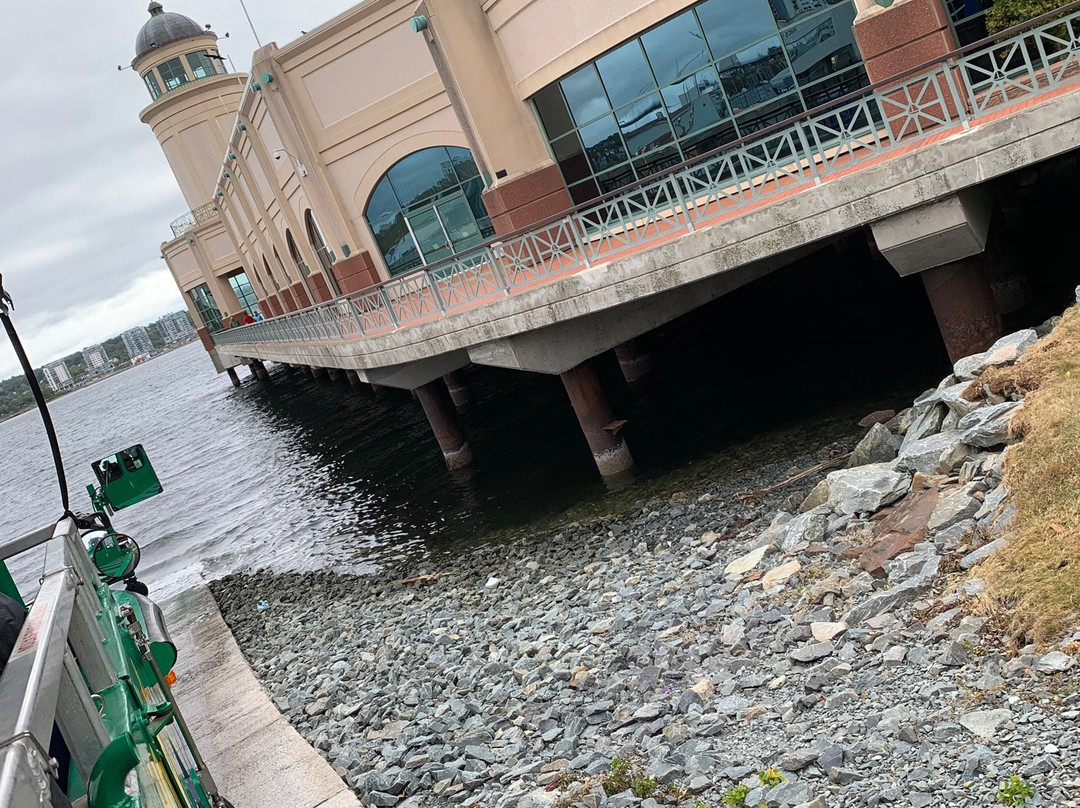 Harbour Hopper Tours-哈利法克斯必去景点