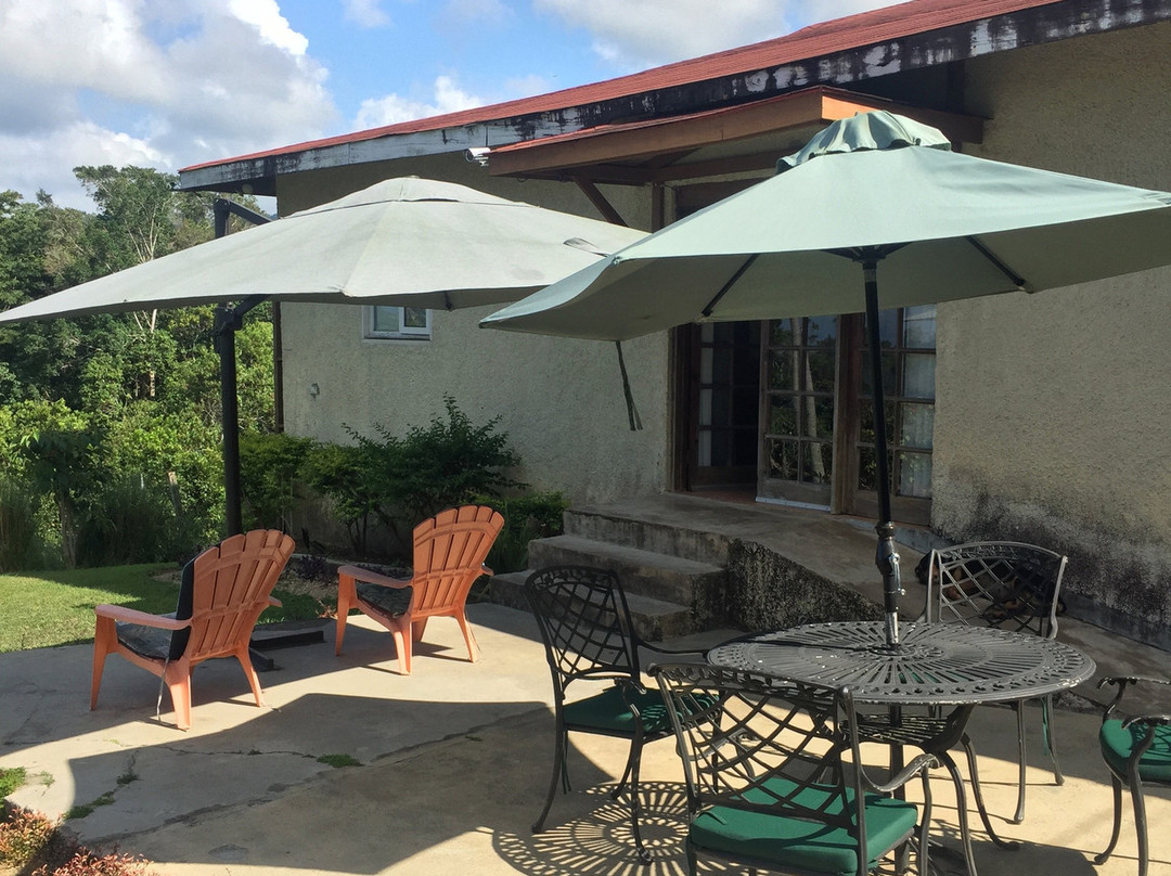 Teresinajamaica主图