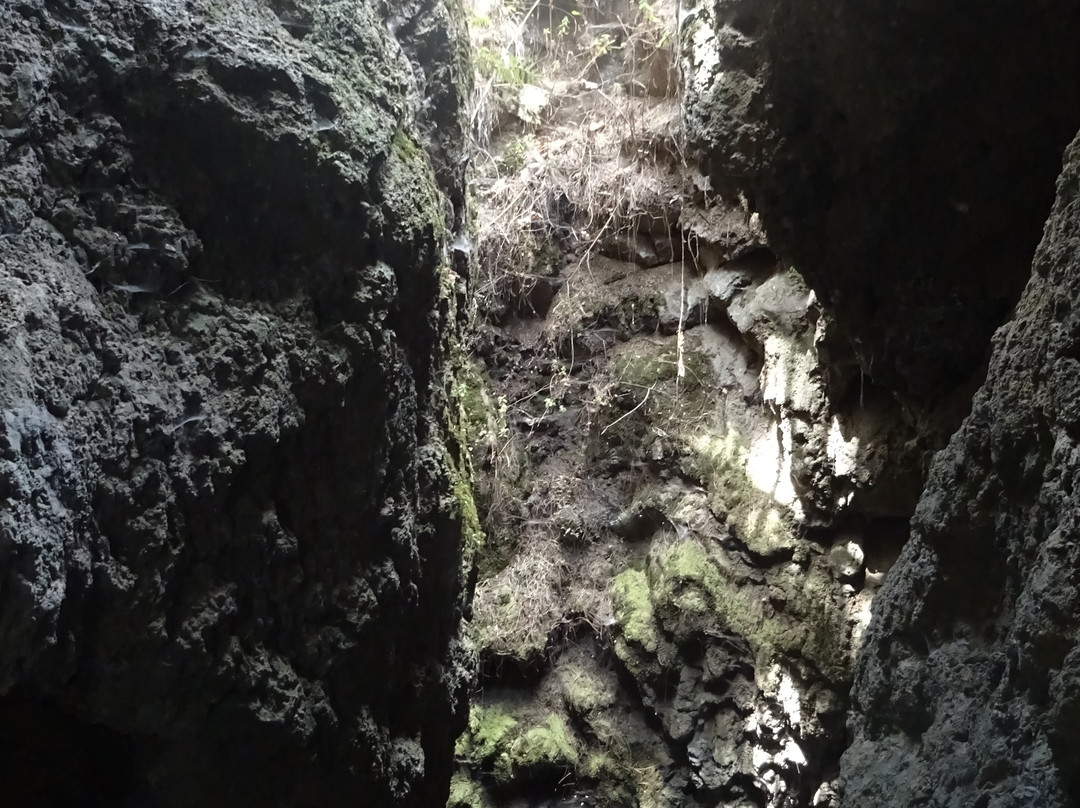 Cueva Del Viento-伊科德洛斯维诺斯必去景点