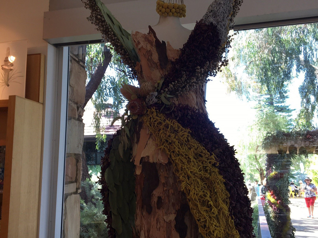 Aspects of Kings Park-珀斯必去景点