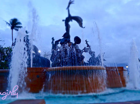 Roots Fountain-圣胡安必去景点
