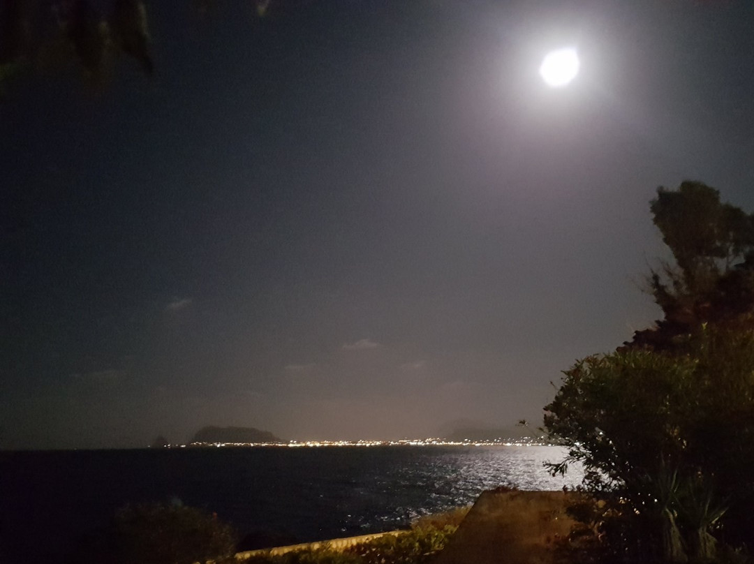 B&B Villa Addaura主图