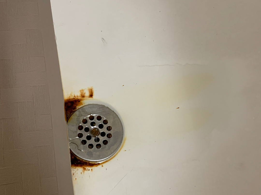 Microtel Inn & Suites by Wyndham Wilson主图