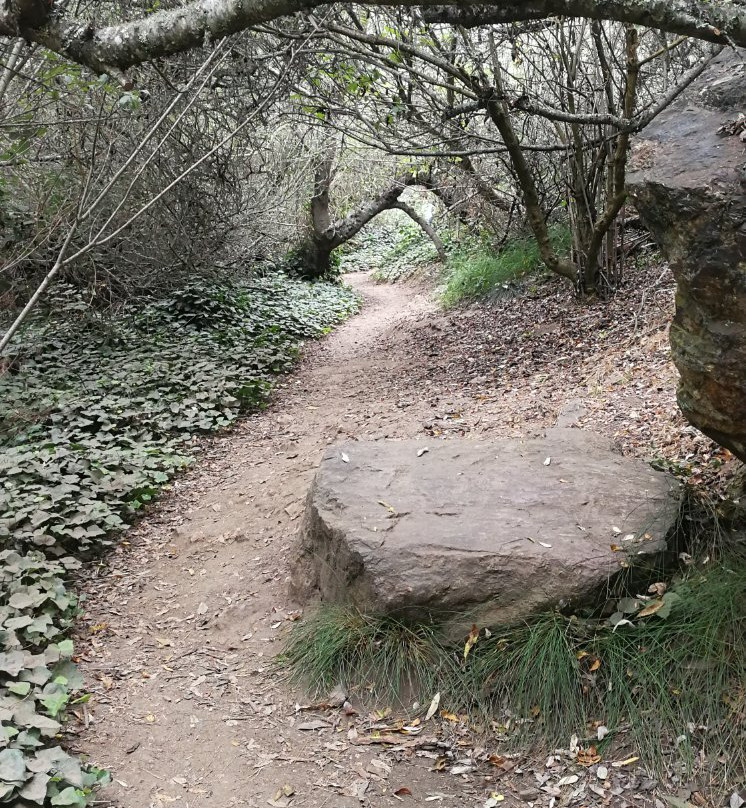 Glen Canyon Park-旧金山必去景点