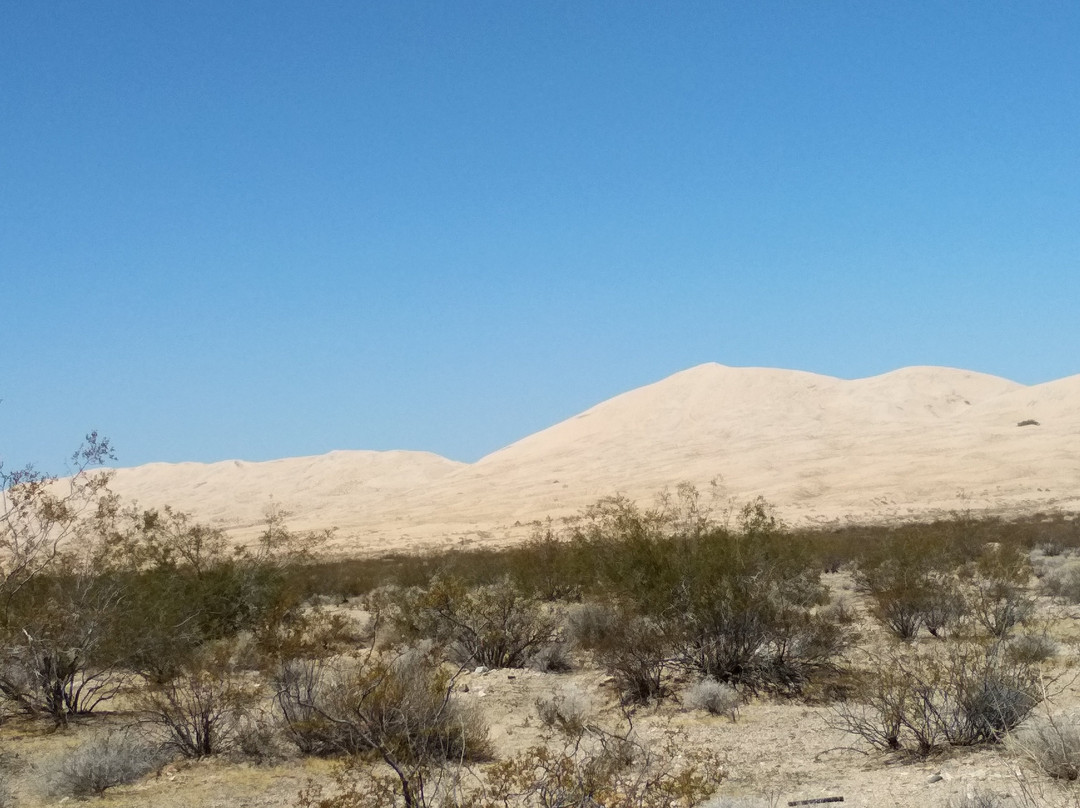Mojave National Preserve景点图片
