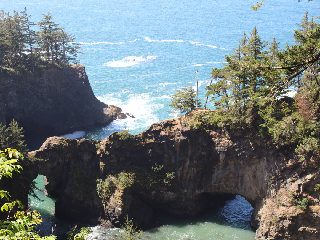 Natural Bridges Viewpoint-布鲁金斯必去景点