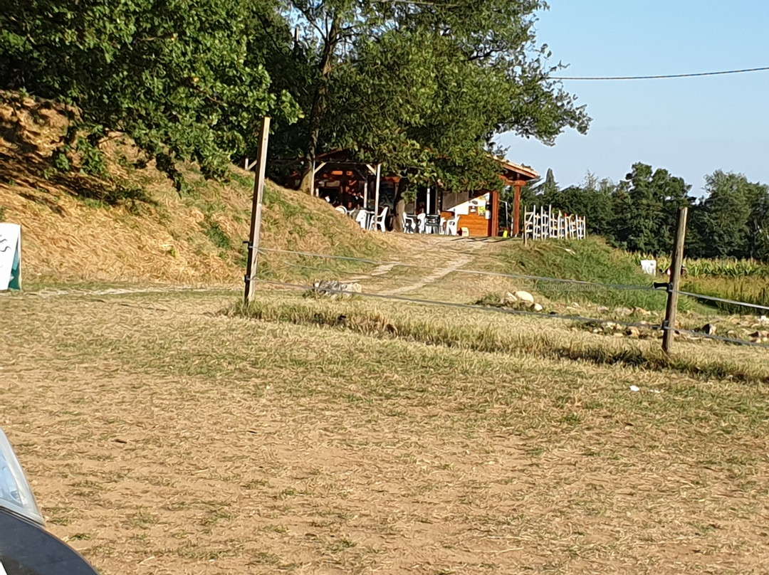 Labyrinthe Végétal-Charmes-sur-Rhone必去景点
