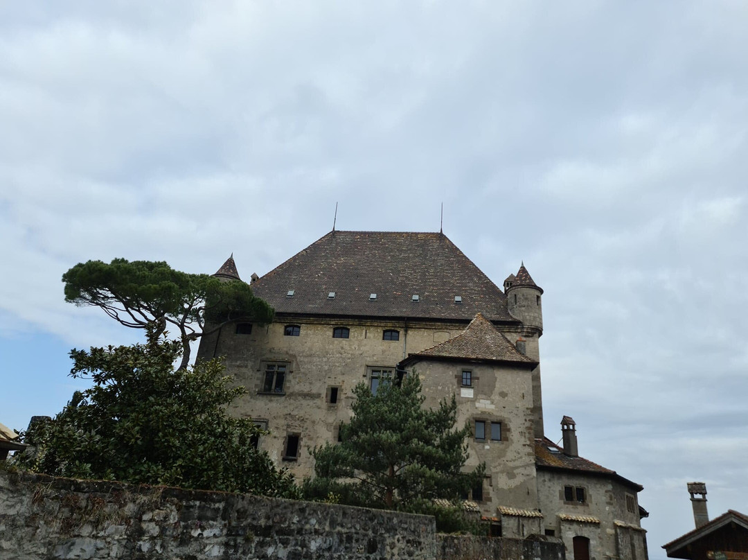 Château d'Yvoire景点图片