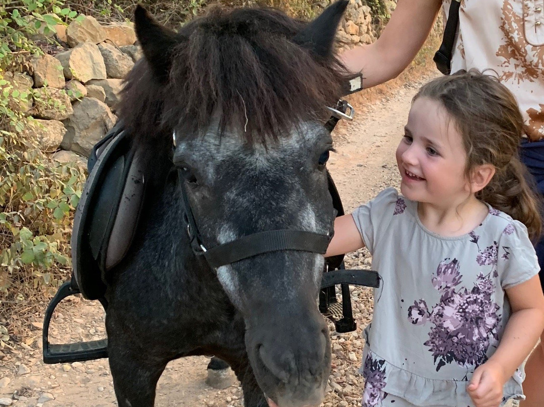 CountrySide Pony Algarve景点图片