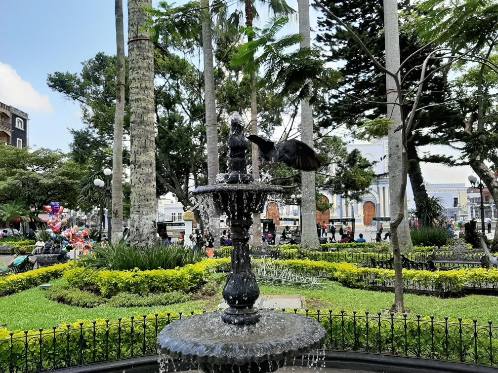 Parque 21 de mayo景点图片