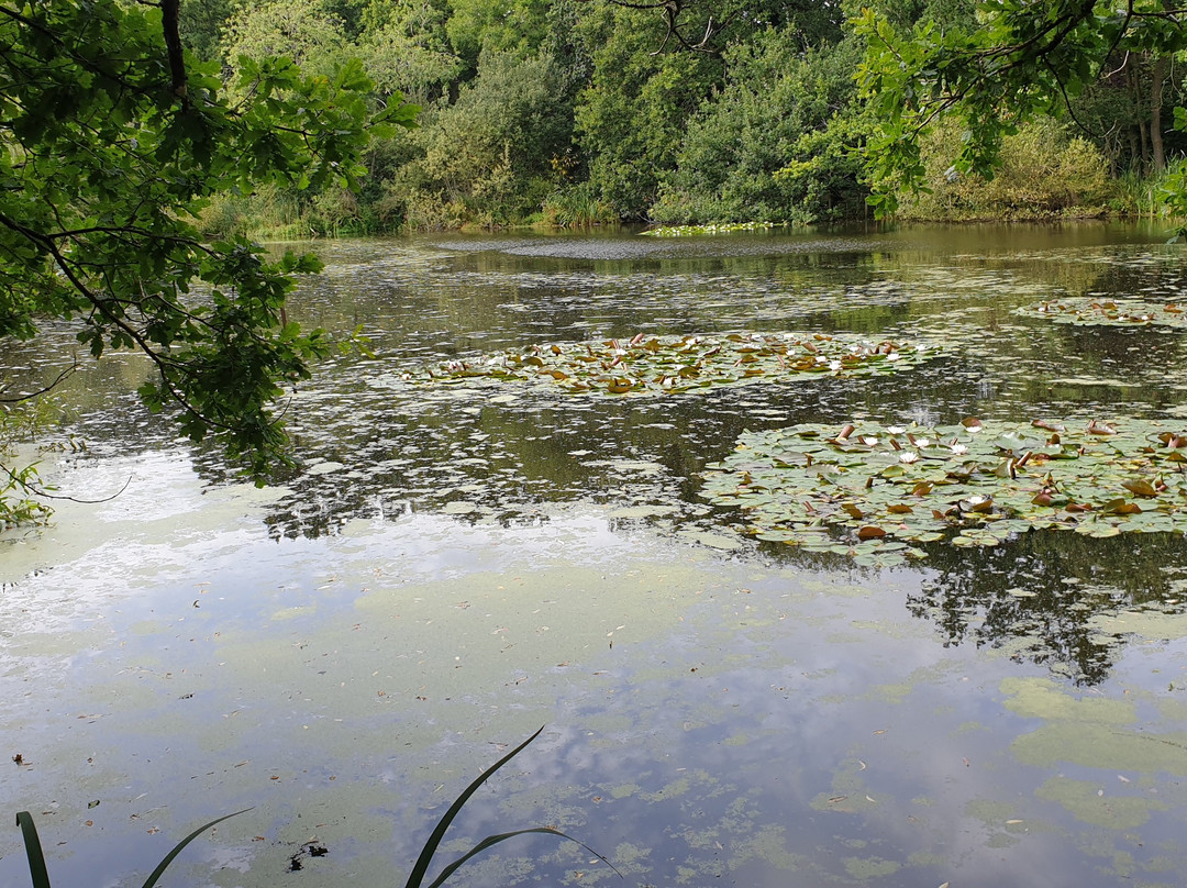 Malvern and Brueton Park-索利哈尔必去景点