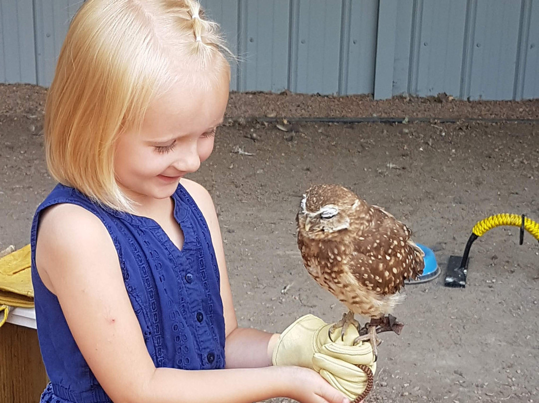 Alberta Birds of Prey Visitor's Centre-Coaldale必去景点