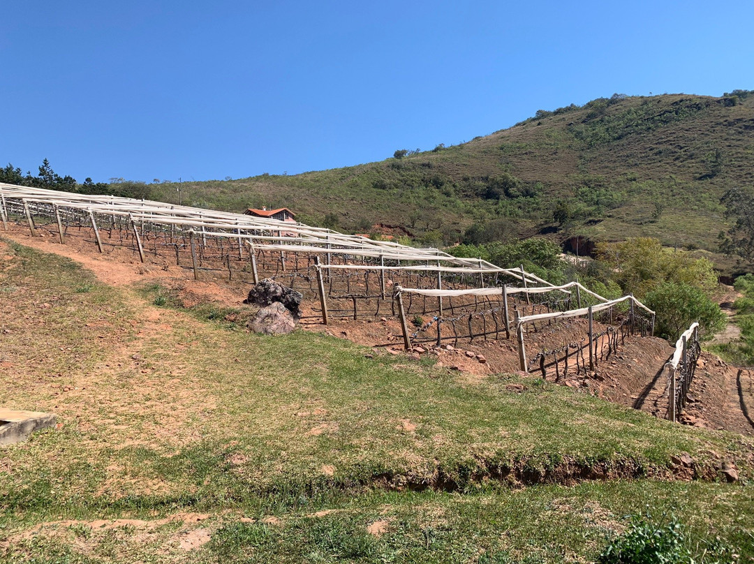 Vinos 1750 - Uvairenda Bodega & Vinedos-Samaipata必去景点