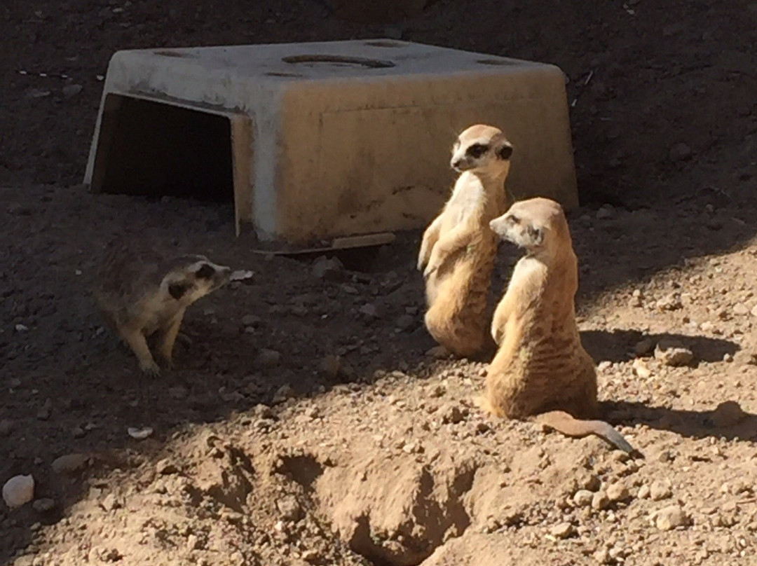 Pueblo Zoo-普韦布洛必去景点