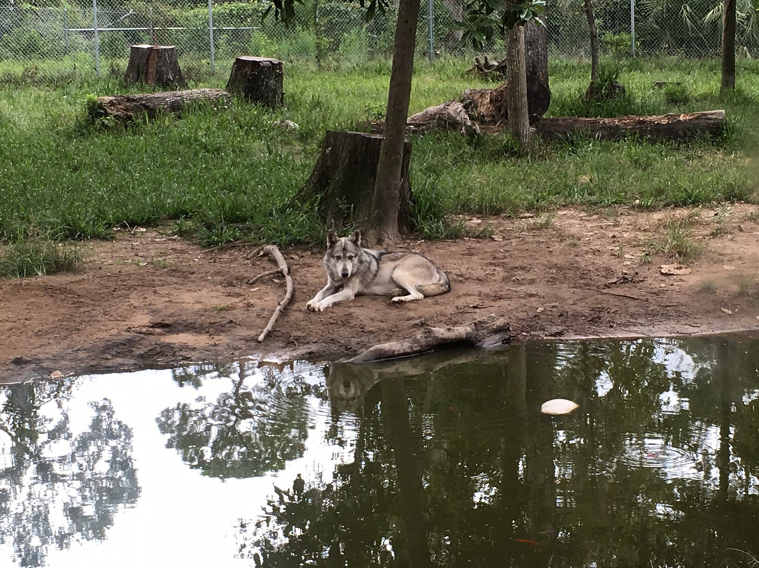 Oatland Island Wildlife Center景点图片