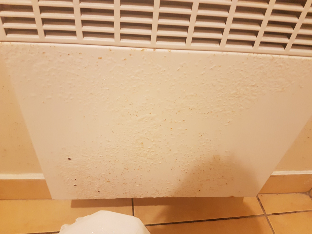 Atlantis Hotel Mimizan主图