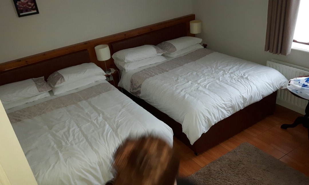 Torine House主图