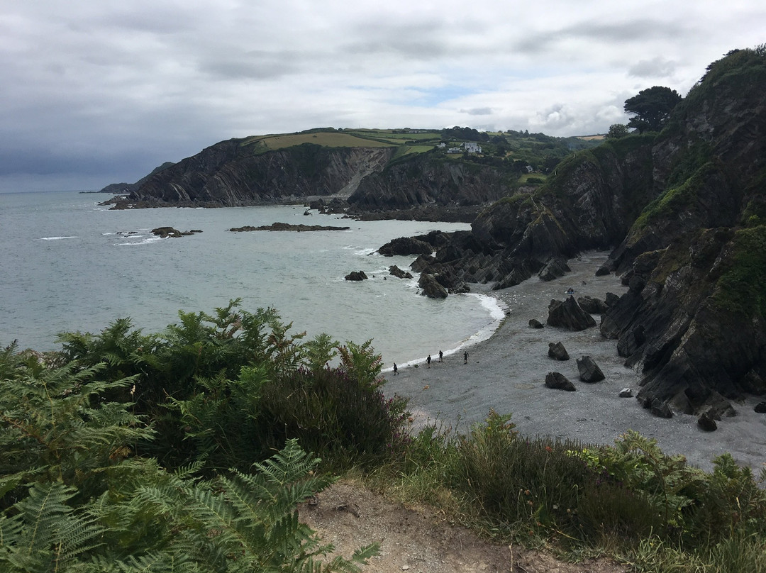 Warcombe Farm Camping Park主图