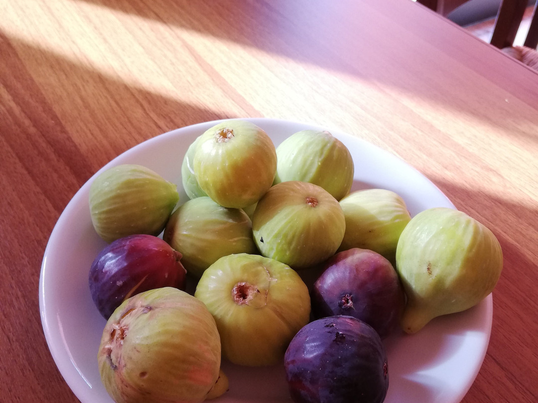 B&B Miralonga Valle Lao主图