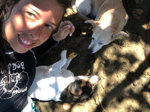 Surf Dog Maui-拉海纳必去景点