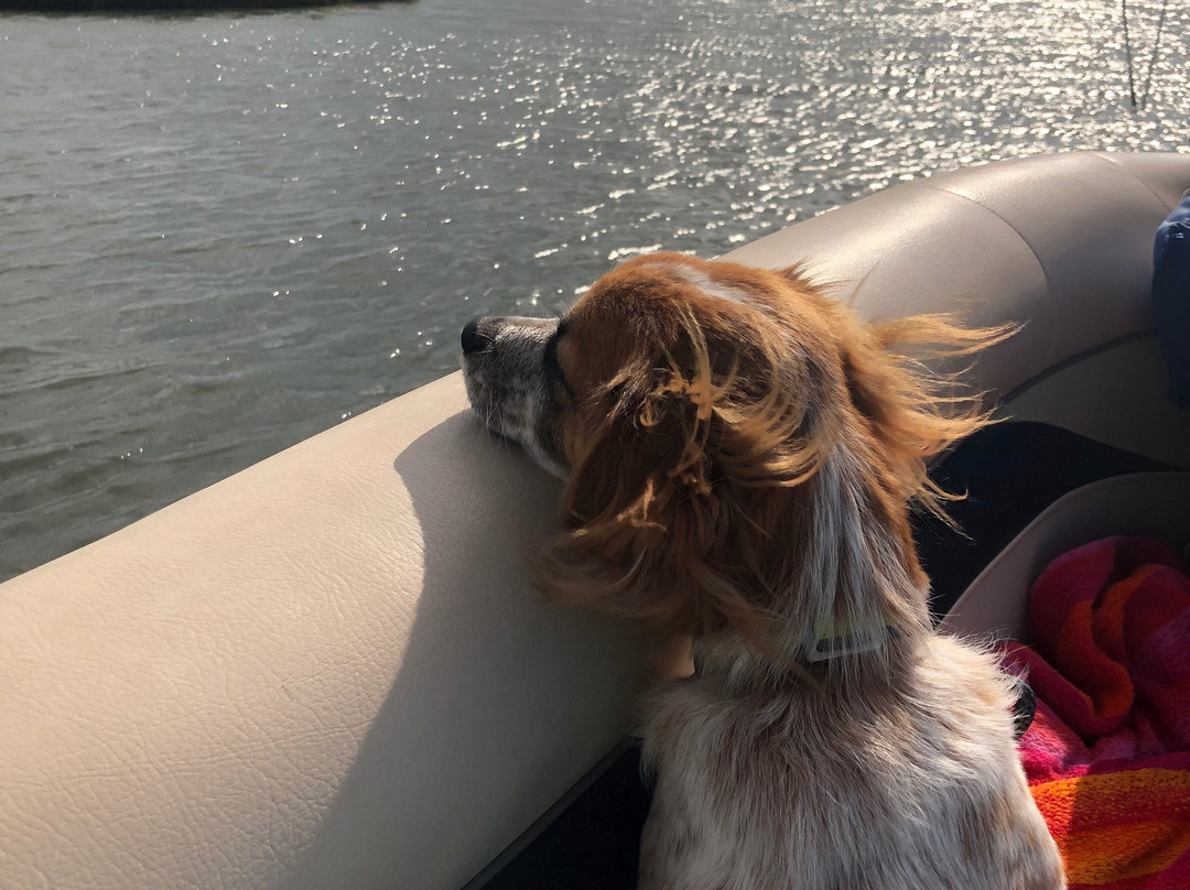 Top Gun Watersports-Fenwick Island必去景点