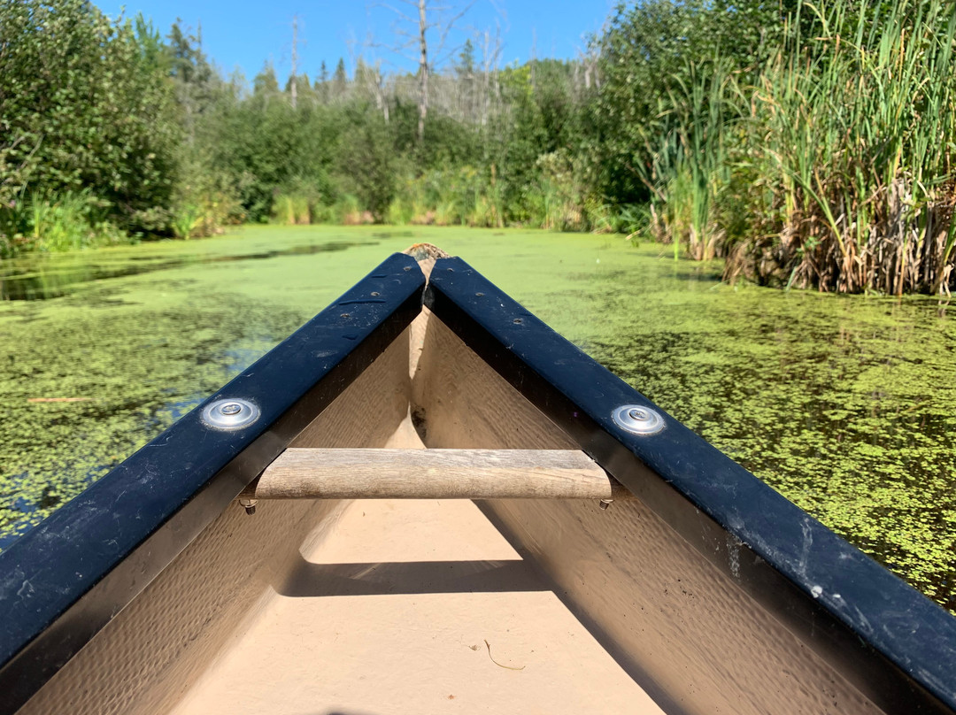 Eco-Odyssee-Wakefield必去景点