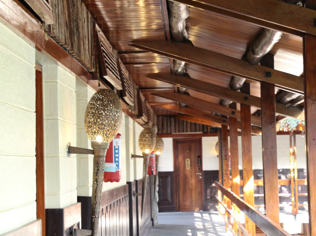 路宝野生动物山林小屋主图