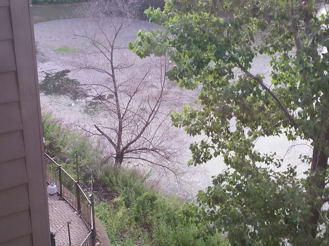 Staybridge Suites Chicago-Oakbrook Terrace by IHG主图