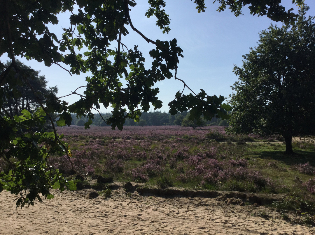 Veluwe Hotel Stakenberg主图