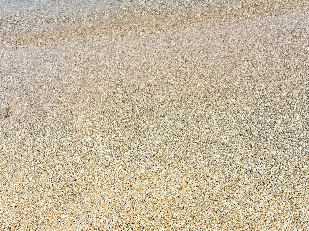 Platis Gialos Beach-普拉提斯必去景点