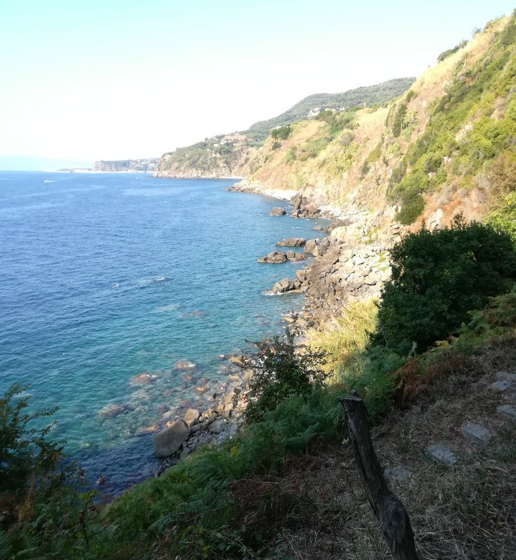 Caletta Rovaglioso-Palmi必去景点