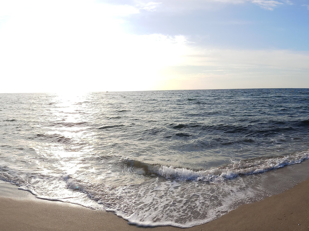 Gulfstream Park-德拉海滩必去景点