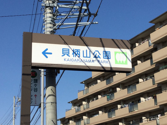 Kaigarayama Park-鎌仓市必去景点