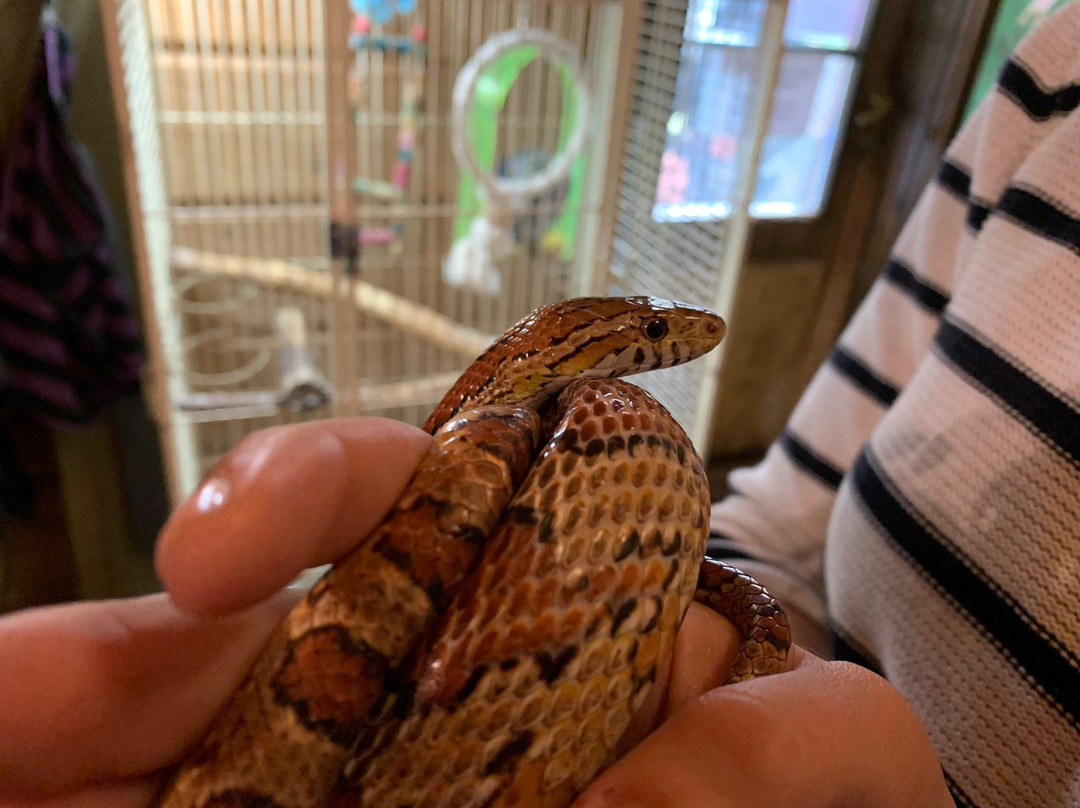 Lomamäki Petting Zoo-Inkoo必去景点