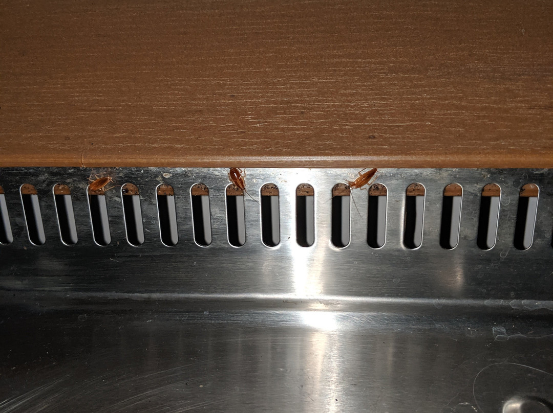 山泉汽车旅馆及房车公园主图