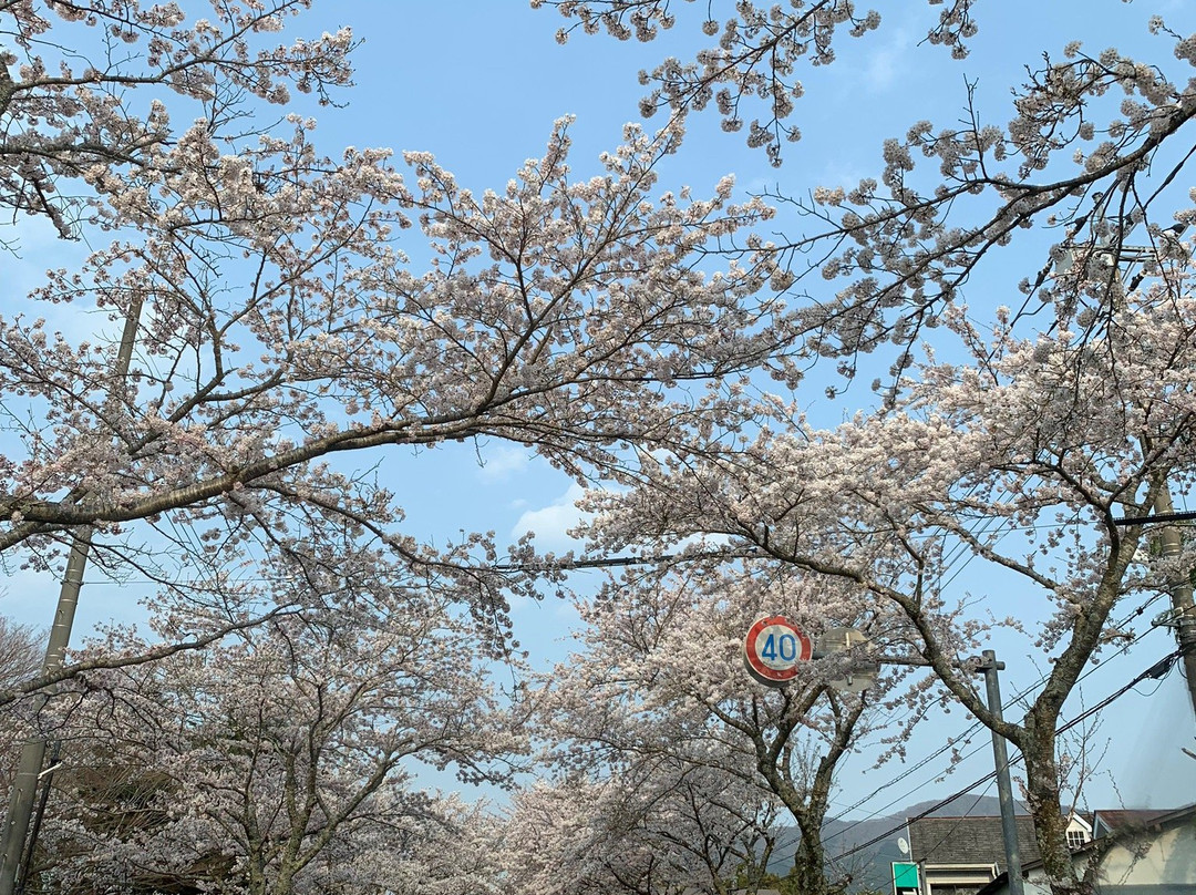 Chichibunomiya Memorial Park景点图片