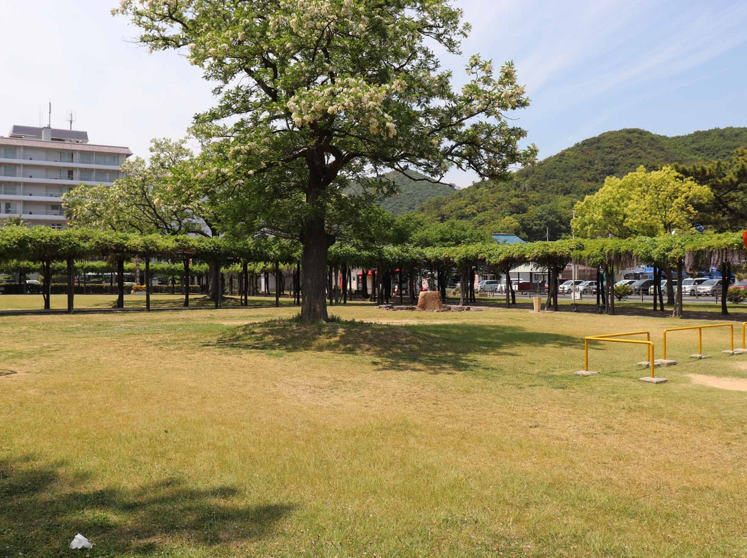 Shibukawa Park Fujidana景点图片