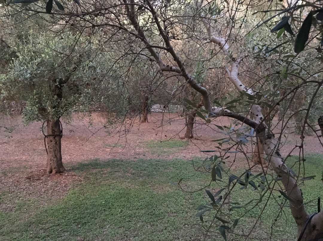 Monte degli Angeli Farm stay主图